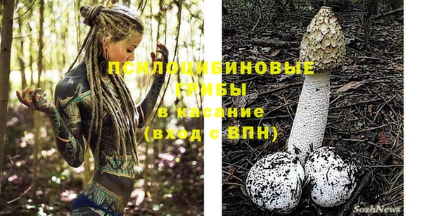 амф Новодвинск