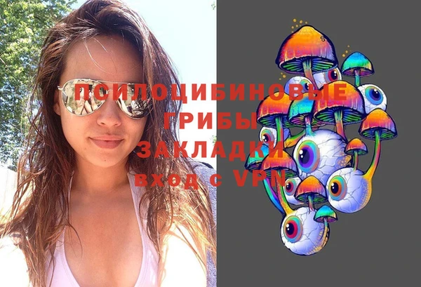 амф Новодвинск