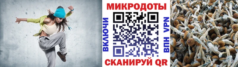 Галлюциногенные грибы мухоморы  mega зеркало  Ардон 