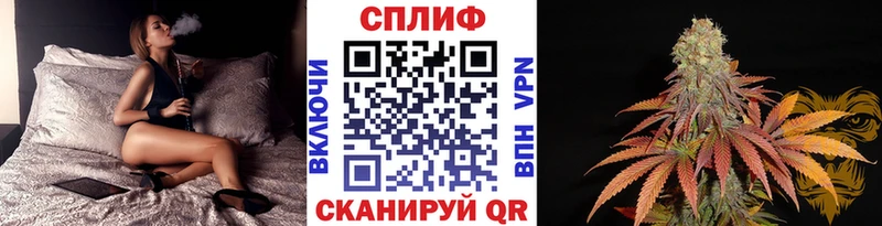 Бошки марихуана VHQ  Ардон 
